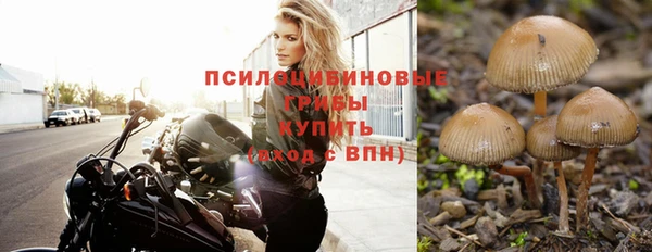 эйфоретик Баксан